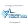 Logo di PRO LOCO CINC STELIS S.MARIA LA LONGA A.P.S.