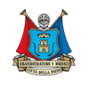 Logo di COMPAGNIA SBANDIERATORI E MUSICI CITTA' DELLA PIEVE