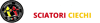 Logo di GRUPPO VERBANESE SCIATORI CIECHI