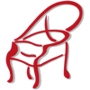 Logo di ASSOCIAZIONE MUSICALE INCANTO APS
