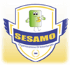 Logo di SESAMO - INSIEME PER I DIVERSAMENTE ABILI ORGANIZZAZIONE DI VOLONTARIATO