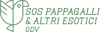 Logo di SOS PAPPAGALLI E ALTRI ESOTICI ODV