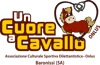 Logo di UN CUORE A CAVALLO ASD ETS