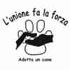 Logo di ASSOCIAZIONE  L'UNIONE FA LA FORZA ADOTTA UN CANE ODV