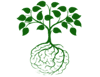Logo di UNIVERSITA' POPOLARE DI COUNSELING E COMUNICAZIONE