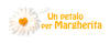 Logo di UN PETALO PER MARGHERITA E.T.S.