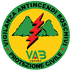 Logo di V.A.B. VIGILANZA ANTICENDI BOSCHIVI SEZIONE PROVINCIALE DI REGGIO EMILIA ODV