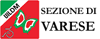 Logo di UILDM O.D.V. - UNIONE ITALIANA LOTTA ALLA DISTROFIA MUSCOLARE - SEZIONE DI VARESE