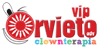 Logo di CLOWN VIVIAMO IN POSITIVO ORVIETO ODV