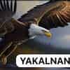 Logo di ASSOCIAZIONE YAKALNANI ETS