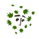 Logo di ZACCHEO APS