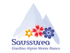 Logo di Fondazione Saussurea