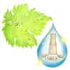 Logo di Goccia di Rugiada ETS