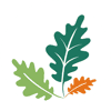 Logo di Fondo Forestale Italiano ETS