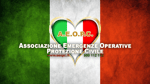Associazione Emergenze Operative Protezione Civile