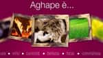 AGHAPE BIOASSOCIAZIONE PER LO SVILUPPO UMANO, L'AMBIENTE, LA SALUTE E IL LAVORO -  ETS APS