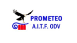 PROMETEO ASSOCIAZIONE ITALIANA TRAPIANTATI DI FEGATO E ALTRI ORGANI ODV