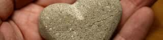 INTERETHNOS INTERPLAST ITALY ODV