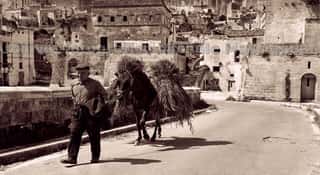 MUV MATERA - MUSEO VIRTUALE DELLA MEMORIA COLLETTIVA APS