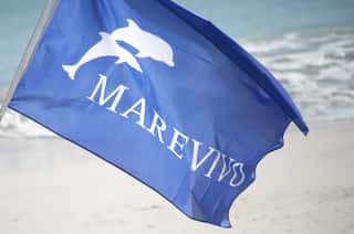 FONDAZIONE AMBIENTALISTA MAREVIVO - ENTE DEL TERZO SETTORE