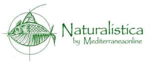 ASSOCIAZIONE CULTURALE MEDITERRANEA