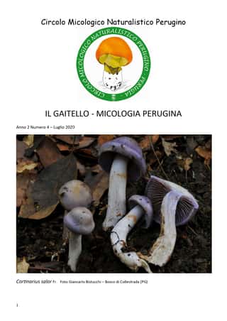 CIRCOLO MICOLOGICO NATURALISTICO PERUGINO