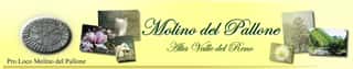 ASSOCIAZIONE DI PROMOZIONE SOCIALE PRO LOCO MOLINO DEL PALLONE