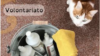 MONDOGATTOLODI-ODV