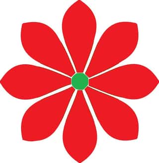 MONTEFORTE IL FIORE - COOPERATIVA SOCIALE A RESPONSABILITA' LIMITATA