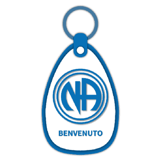 ASSOCIAZIONE NARCOTICI ANONIMI ITALIA APS