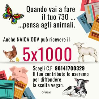 NAICA ODV