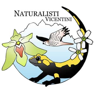 NATURALISTI VICENTINI (ASSOCIAZIONE DI PROMOZIONE SOCIALE)