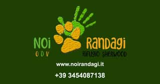 NOIRANDAGI ODV