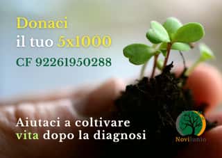 NOVILUNIO APS