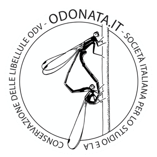 SOCIETA' ITALIANA PER LO STUDIO E LA CONSERVAZIONE DELLE LIBELLULE ODV