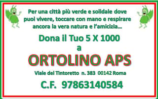 ORTOLINO APS
