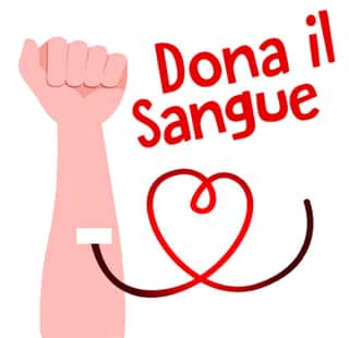 AVIS COMUNALE DI CASTIGLIONE DEL LAGO ORGANIZZAZIONE DI VOLONTARIATO