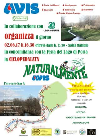 AVIS COMUNALE DI MONTIGNOSO ODV