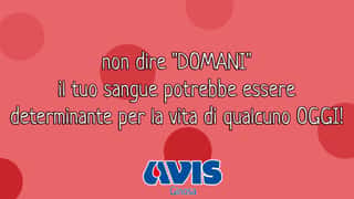 A.V.I.S.  COMUNALE DI GINOSA ODV