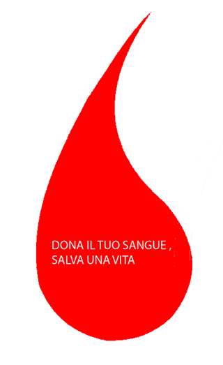 AVIS PROVINCIALE ENNA