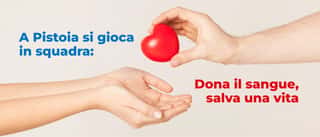 AVIS PROVINCIALE DI PISTOIA ODV