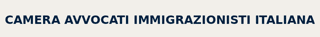 CAMERA AVVOCATI IMMIGRAZIONISTI ITALIANI