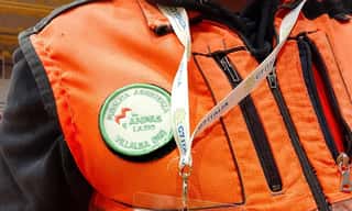 PUBBLICA ASSISTENZA ASSOCIAZIONE VOLONTARI VILLALBA INIZIATIVE SOCIALI ORGANIZZAZIONE DI VOLONTARIATO