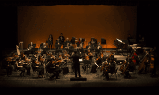 L'OFFERTA MUSICALE - APS
