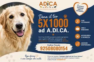 A.DI.CA.- ASSOCIAZIONE PER LA DIFESA DEL CANE- ODV