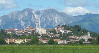 ASSOCIAZIONE DONNE OPERATE AL SENO DI SAN DANIELE DEL FRIULI - ODV