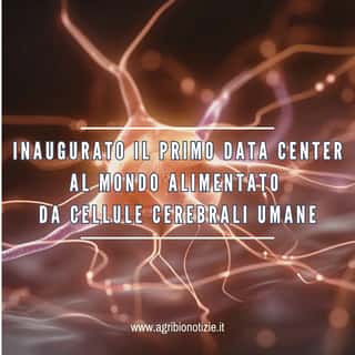 AGRI.BIO.ITALIA ASSOCIAZIONE PER LA PROMOZIONE DI UNA NUOVA AGRICOLTURA E DI UNA SOCIETA' SCIENTIFICO SPIRITUALE ETS