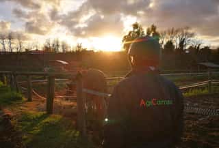AGRICAMPO APS