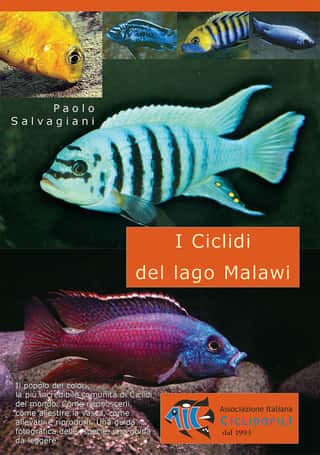 ASSOCIAZIONE ITALIANA CICLIDOFILI APS