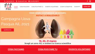 SEZIONE AIL DI PISA ORGANIZZAZIONE DI VOLONTARIATO